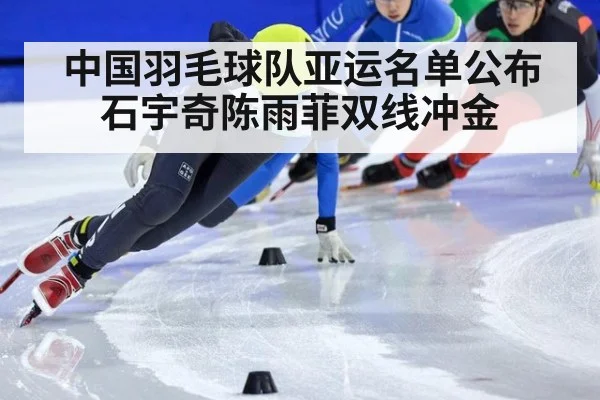中国羽毛球队亚运名单公布 石宇奇陈雨菲双线冲金